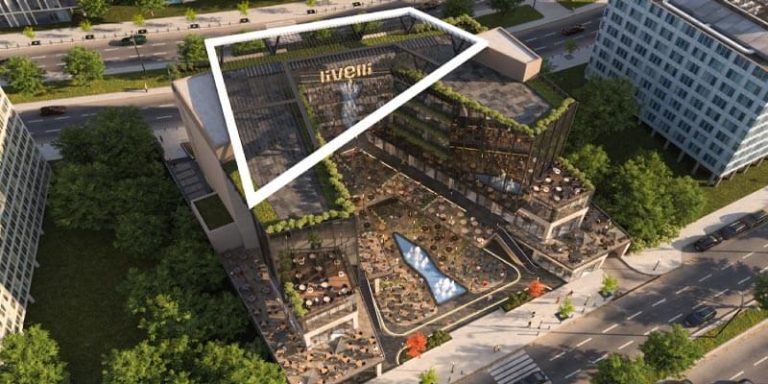 ليفالي أداري